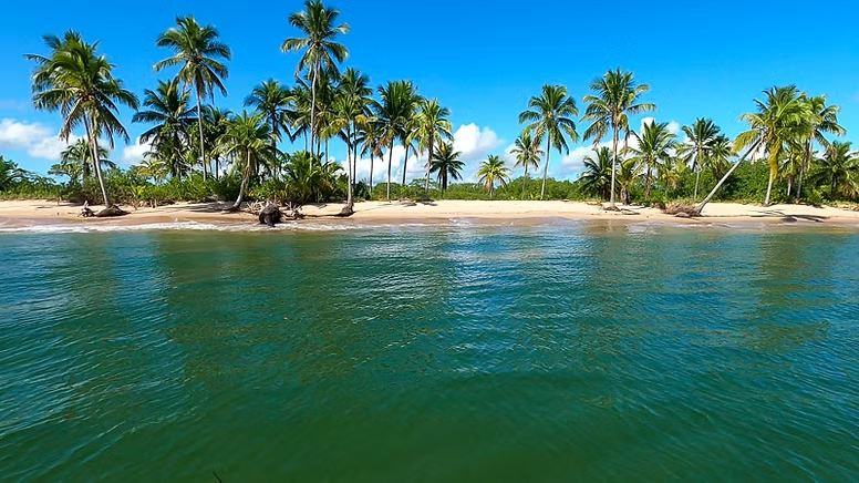 Baía de Camamu com águas calmas, barcos e vegetação nas margens